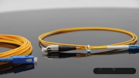 Pigtail in fibra ottica a nastro a 12 core con connettori Sc/APC-SM di un produttore cinese